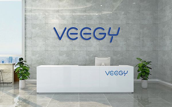 VEEGY匯潔科技網(wǎng)站作品