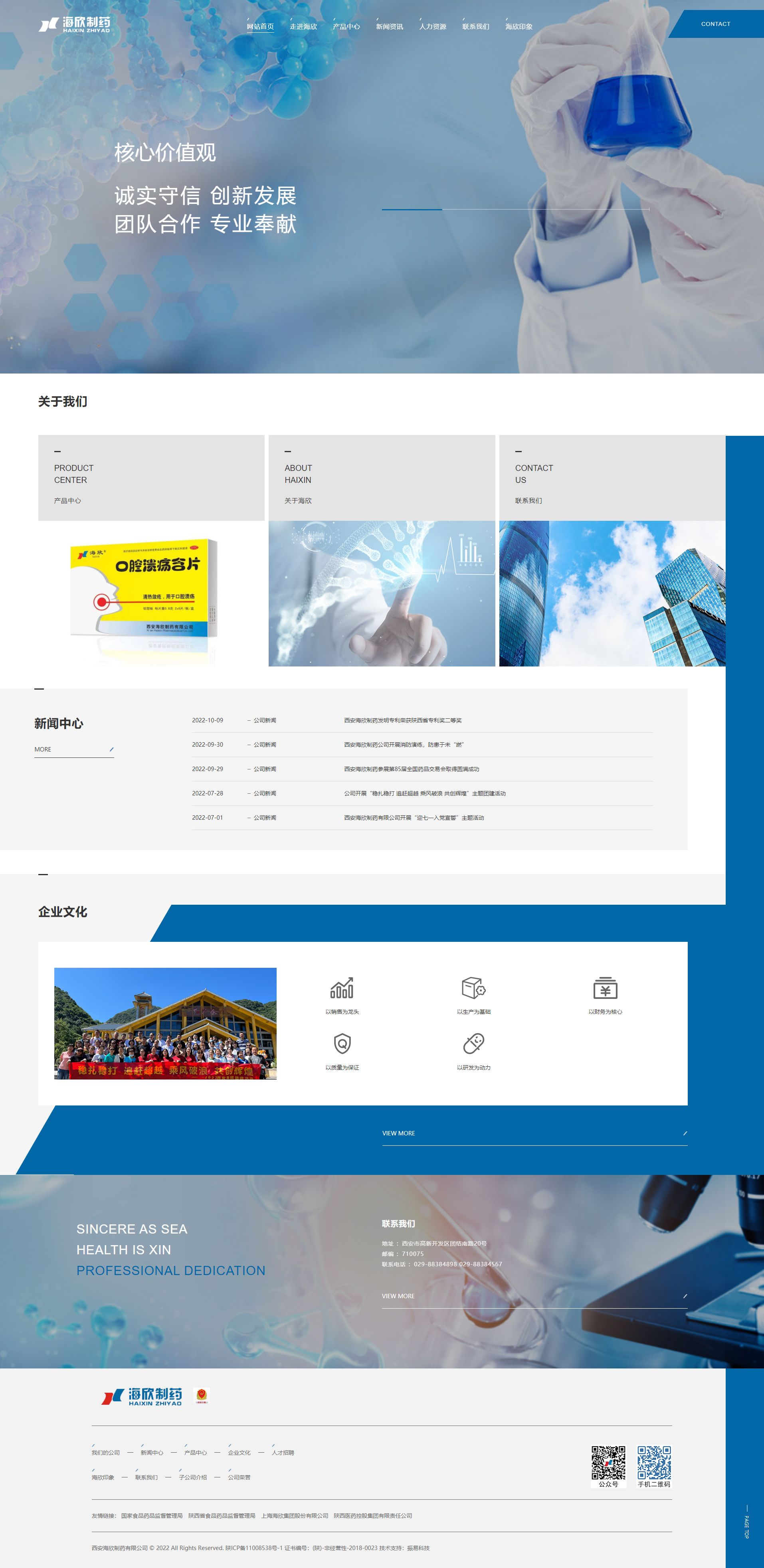 網(wǎng)站整體